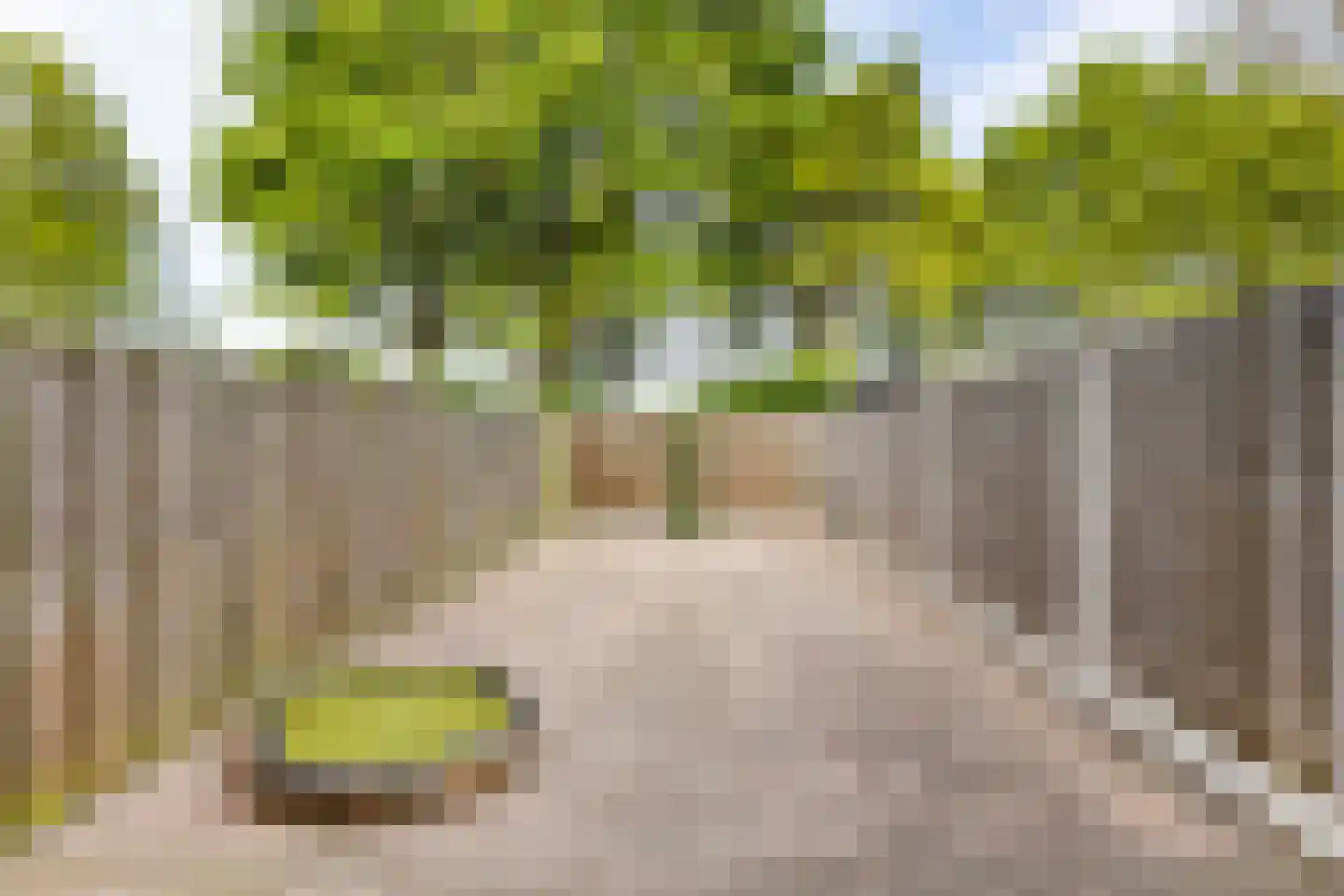 Amstelstraat 135 Oost-Souburg thumbnail 15