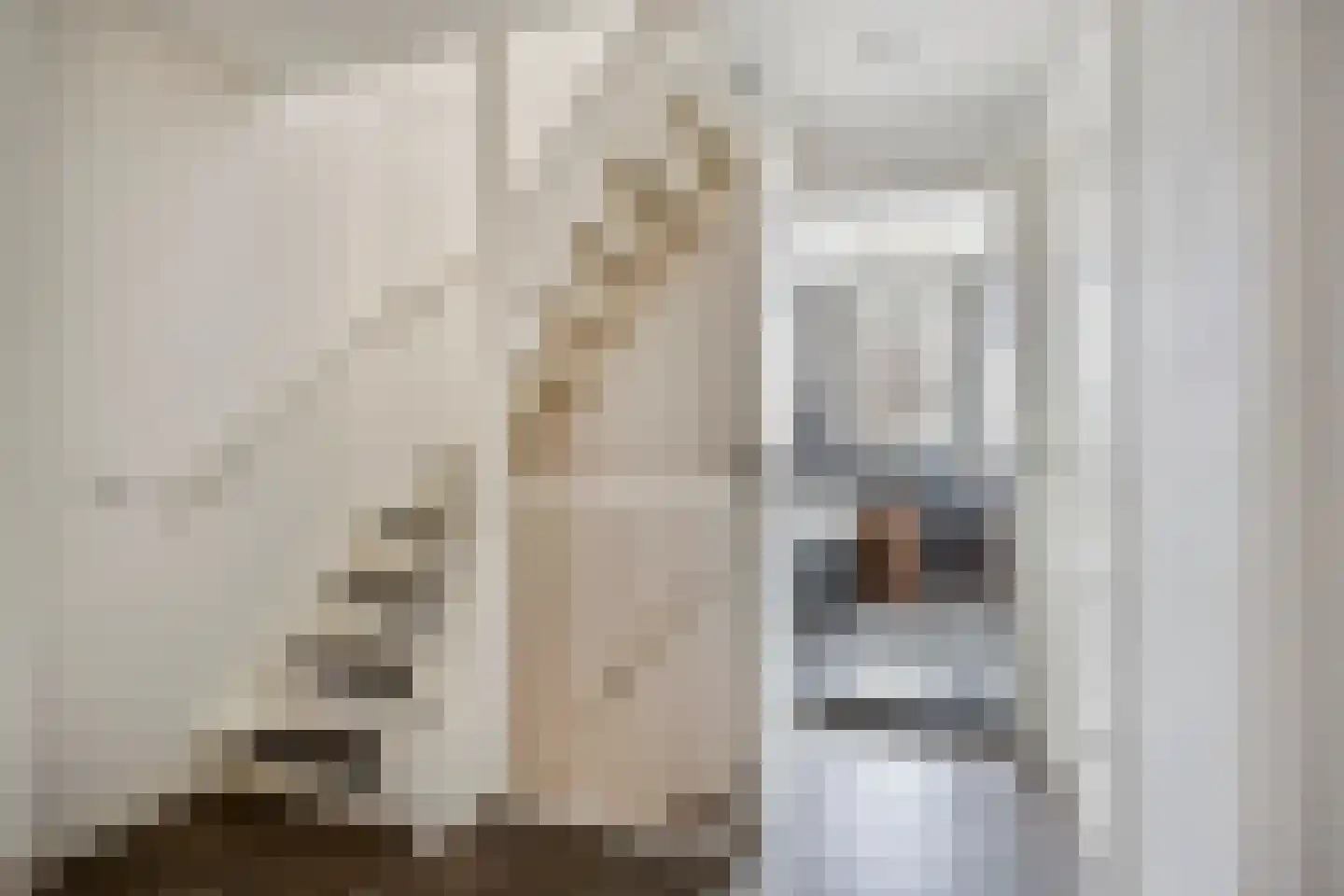 Amstelstraat 15 Eindhoven thumbnail 16