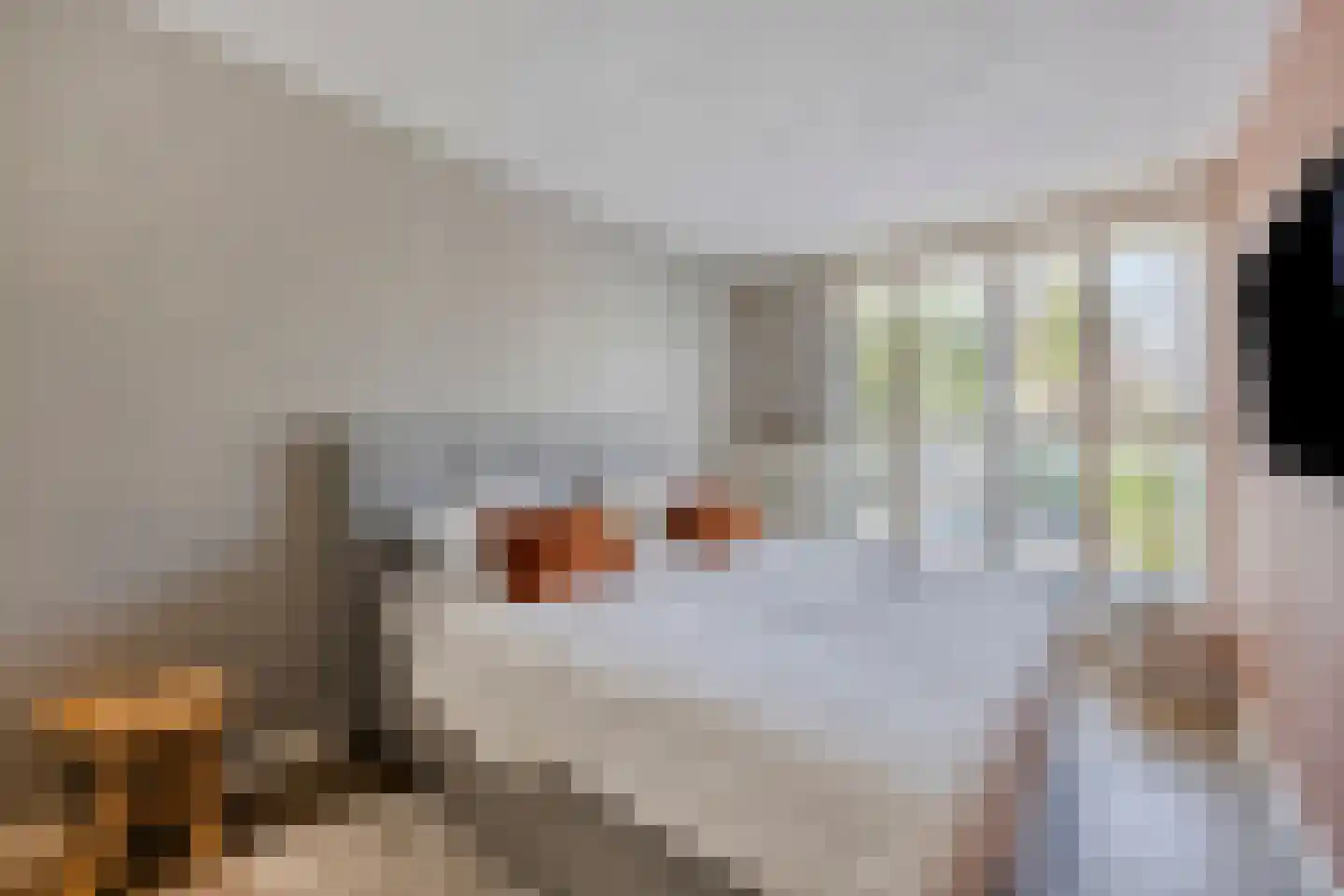 Amstelstraat 15 Eindhoven thumbnail 17