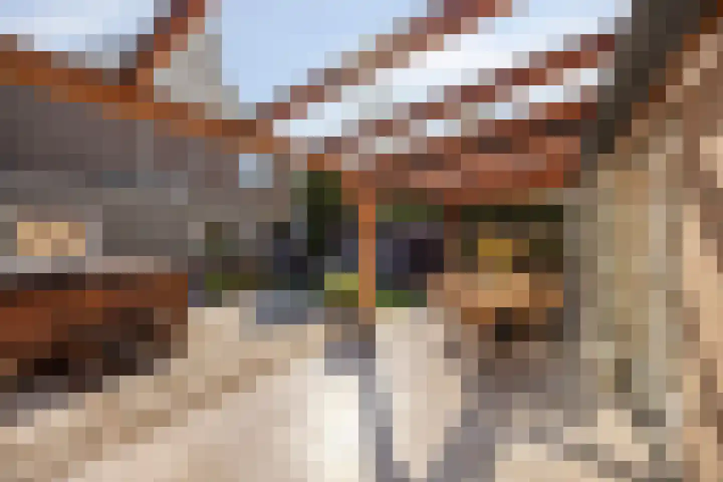 Amstelstraat 15 Eindhoven thumbnail 28