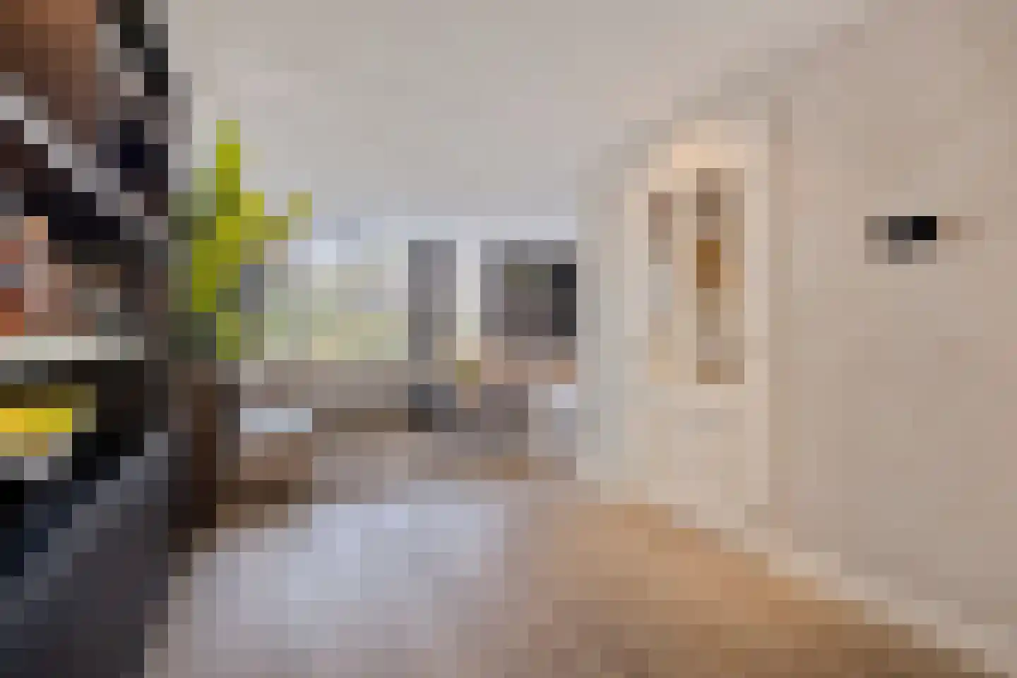 Amstelstraat 15 Eindhoven thumbnail 9