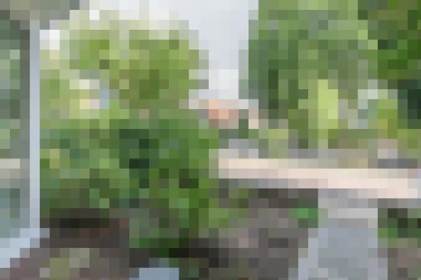 Amstelstraat 18 Amersfoort thumbnail 44