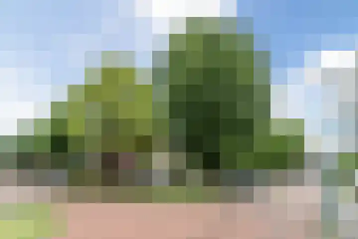 Amstelstraat 23 Dongen thumbnail 43