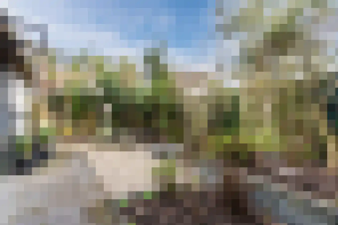 Amstelstraat 31 Eindhoven thumbnail 28