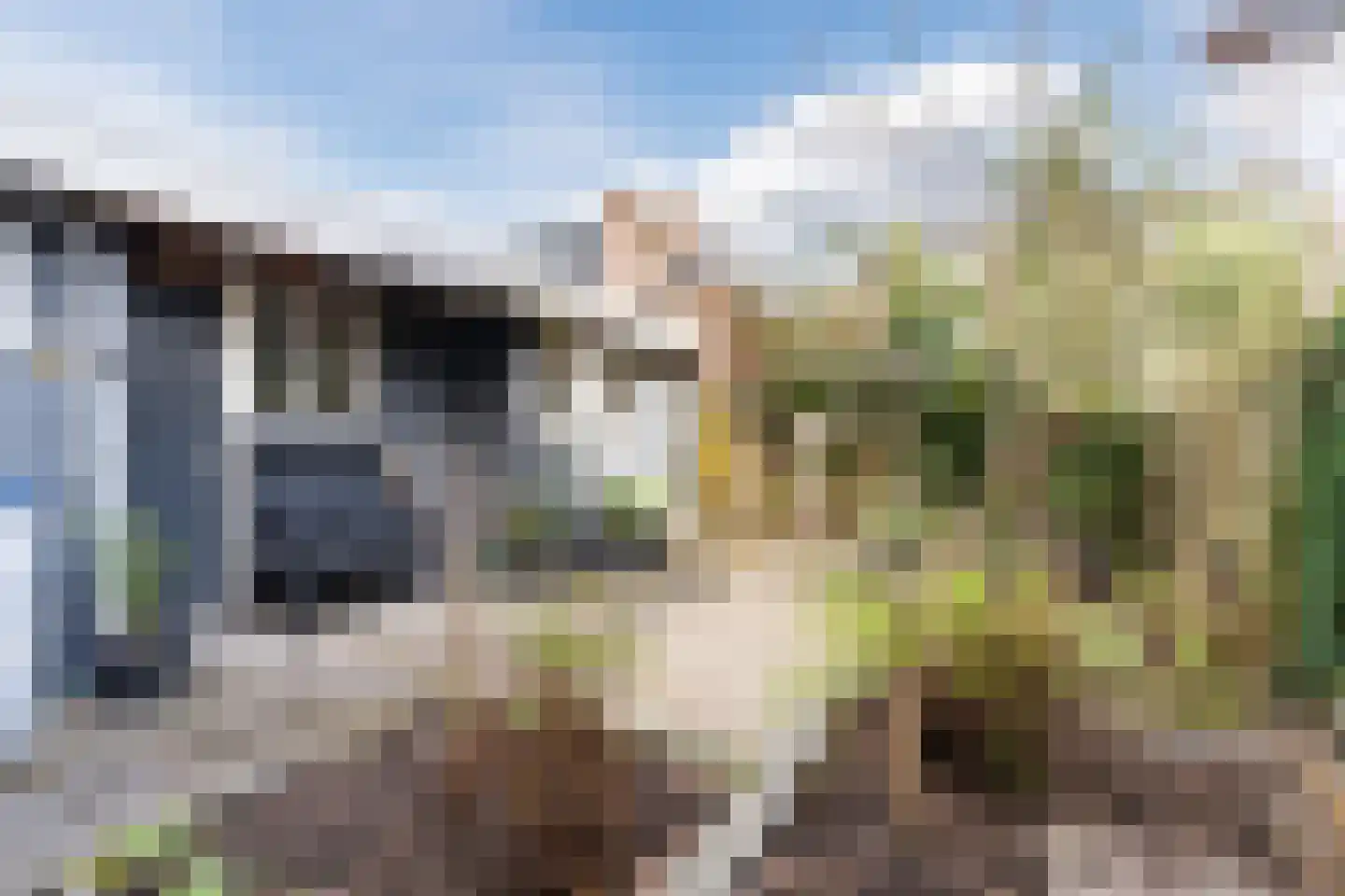 Amstelstraat 31 Eindhoven thumbnail 4