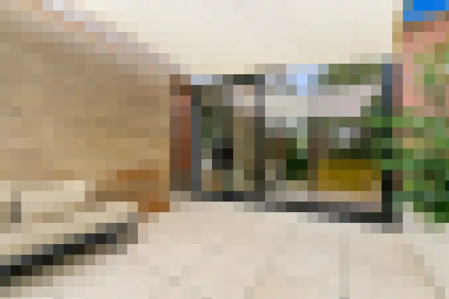 Amstelstraat 34 Den Haag thumbnail 17