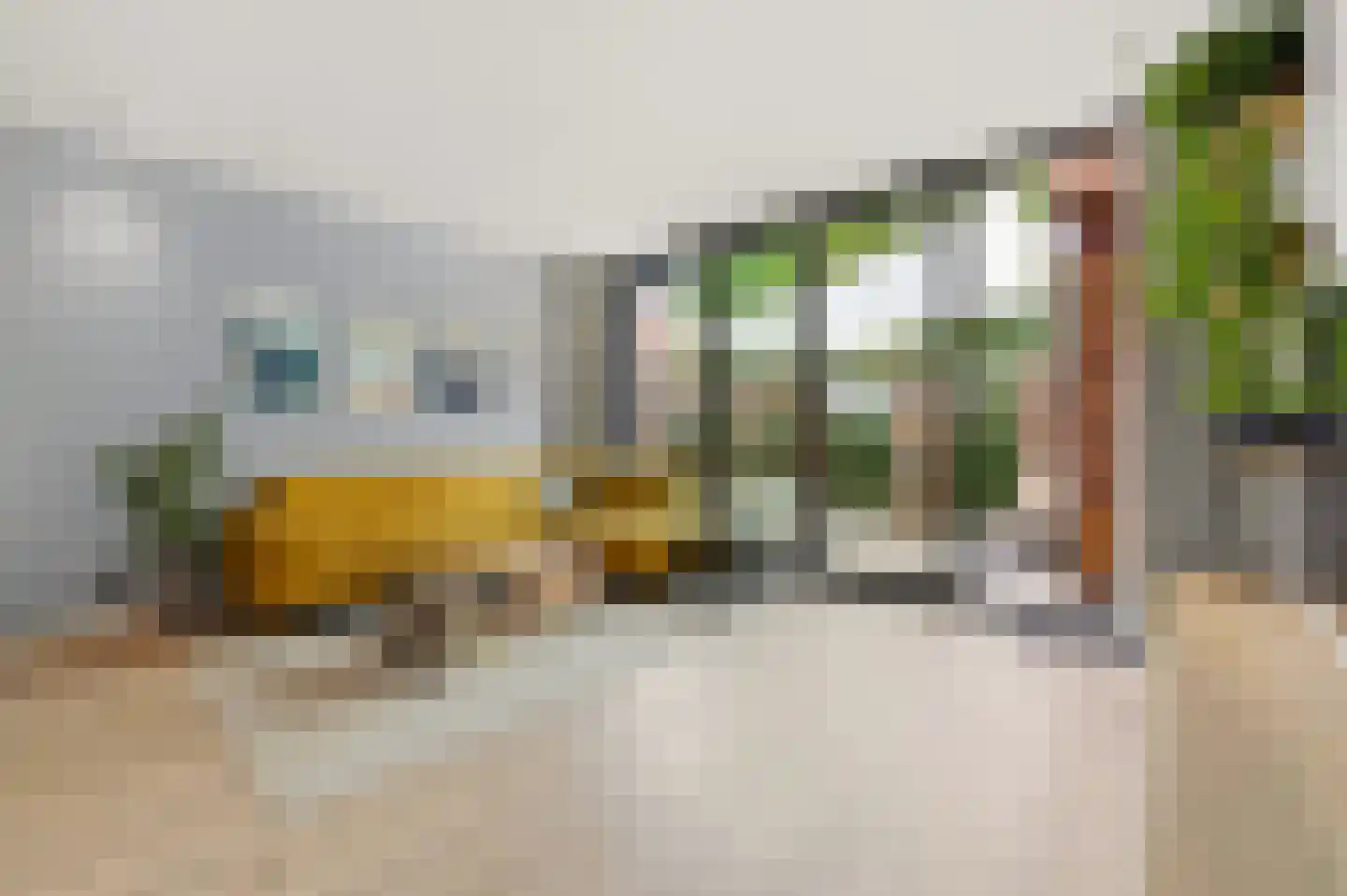 Amstelstraat 34 Den Haag thumbnail 9