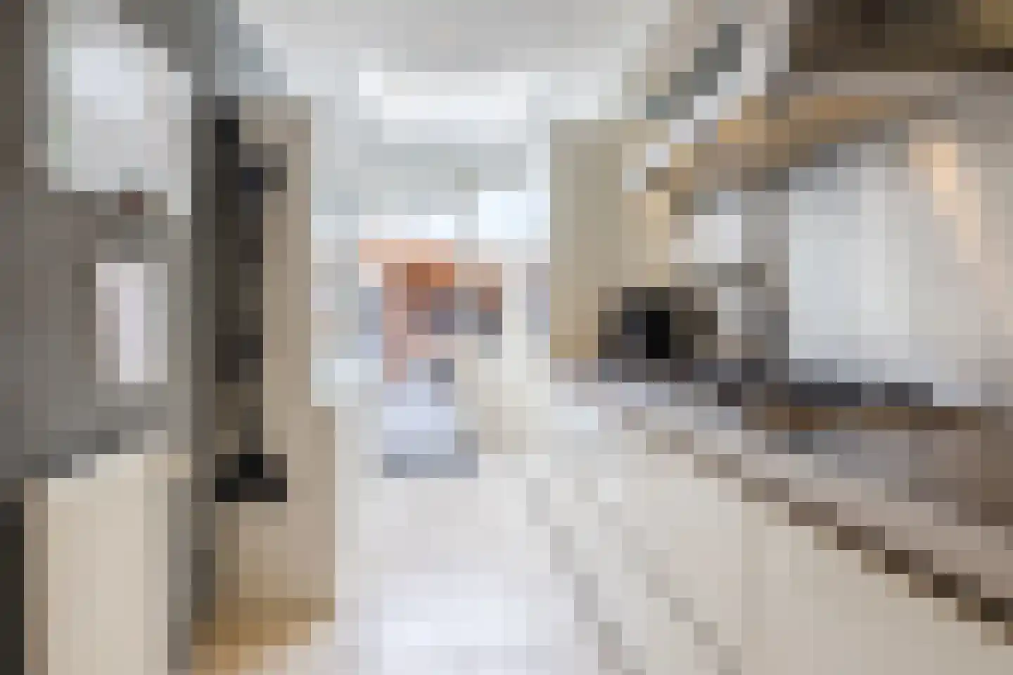 Amstelstraat 36 Dongen thumbnail 23