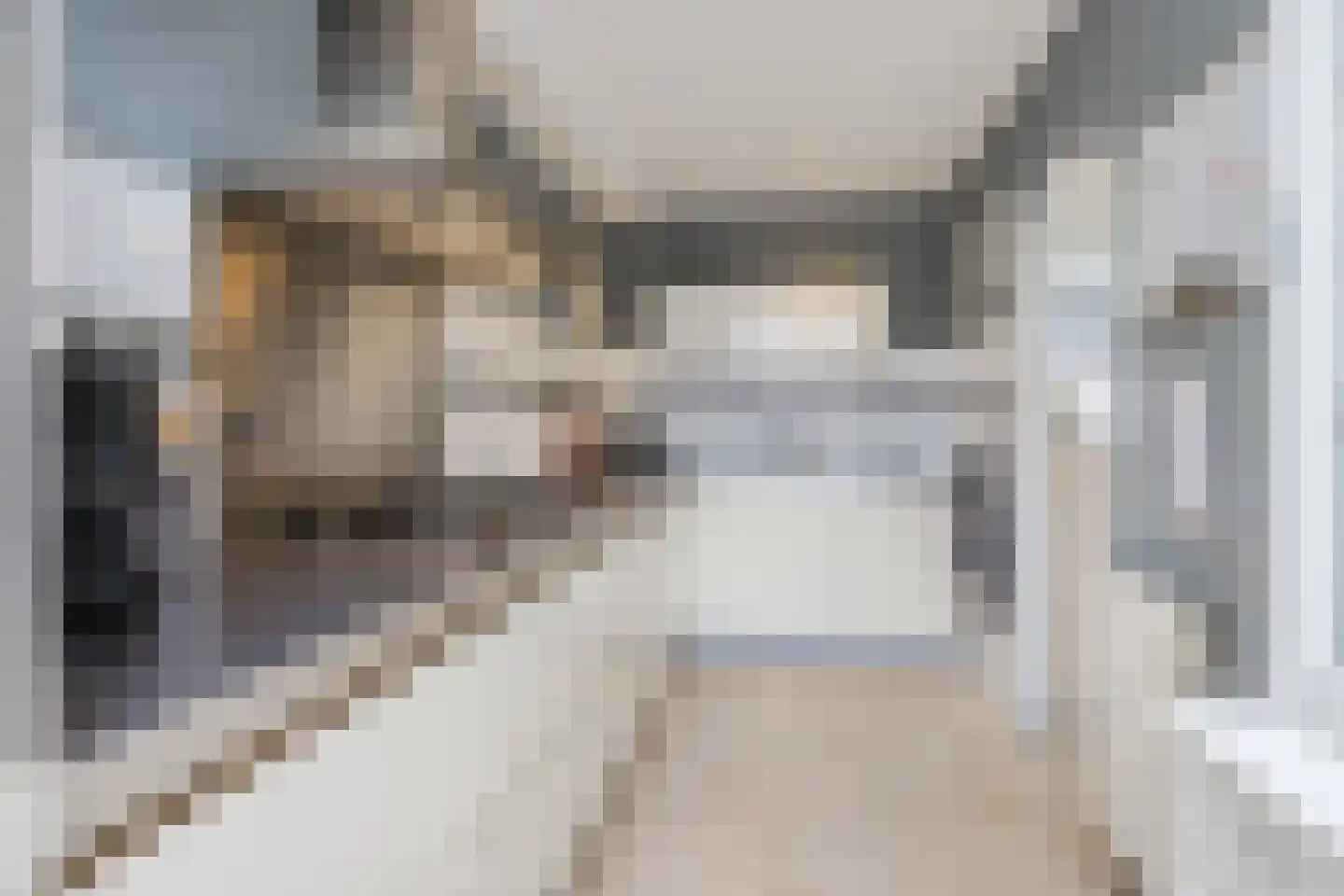 Amstelstraat 36 Dongen thumbnail 24