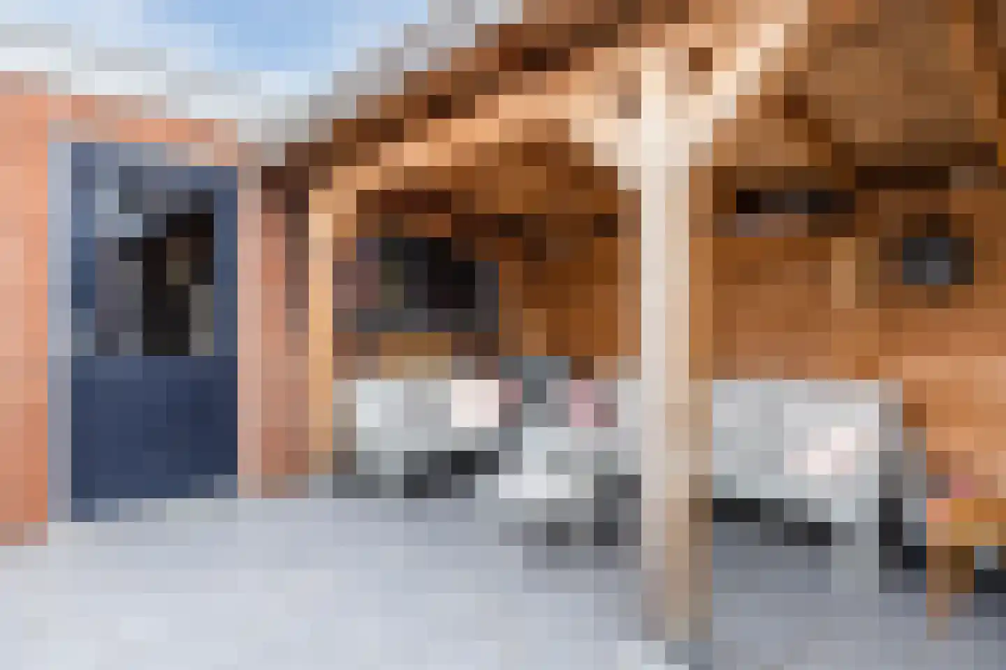 Amstelstraat 36 Dongen thumbnail 28