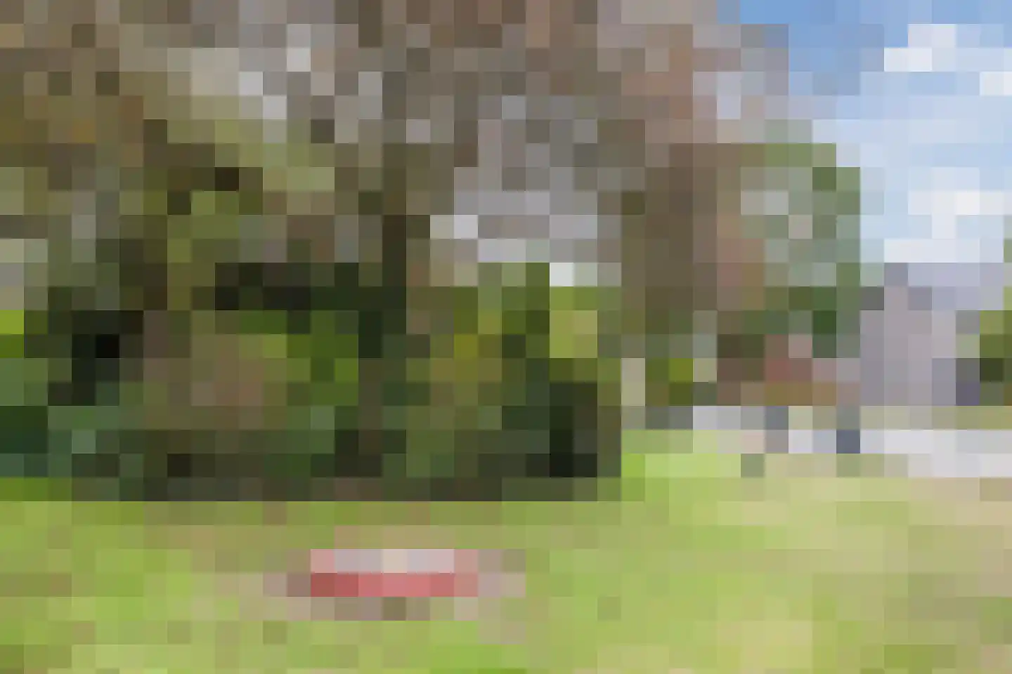 Amstelstraat 36 Dongen thumbnail 54