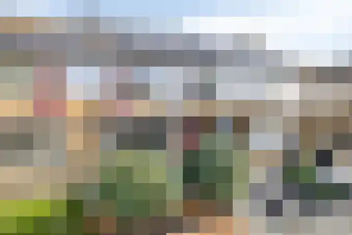Amstelstraat 4 Bergen op Zoom thumbnail 6
