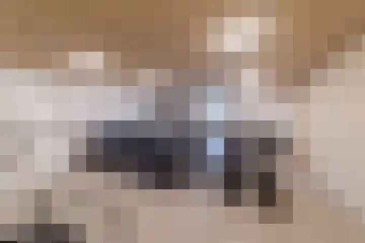 Amstelstroom 2 Zoetermeer thumbnail 26