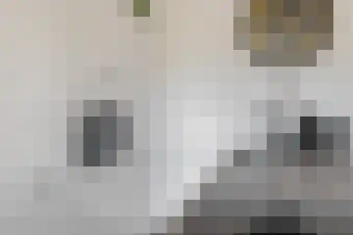 Amstelstroom 32 Zoetermeer thumbnail 19