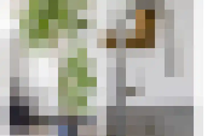 Amstelstroom 32 Zoetermeer thumbnail 21