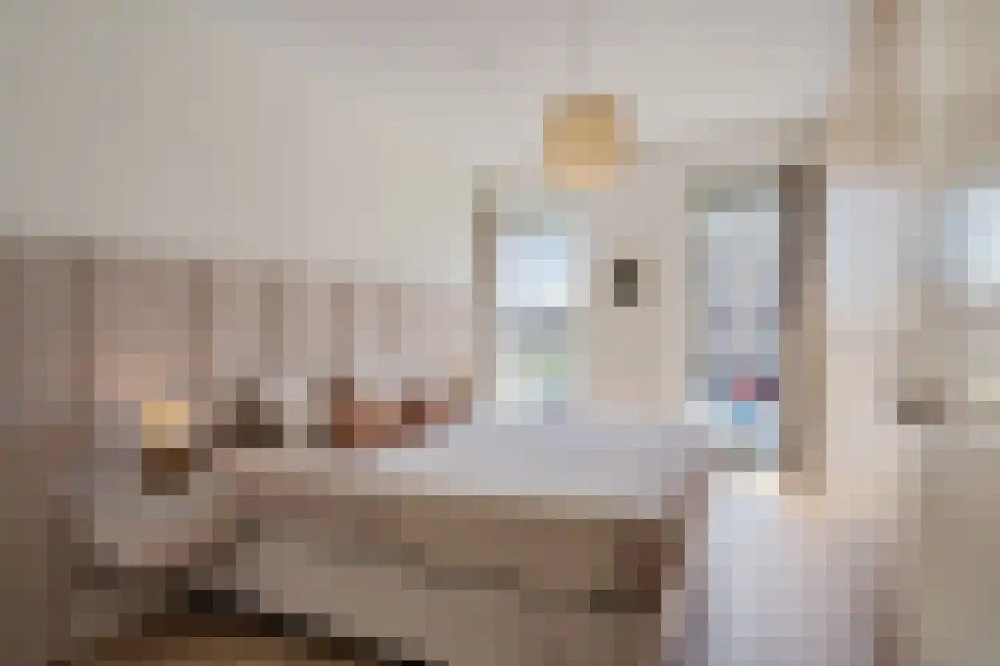 Amstelstroom 34 Zoetermeer thumbnail 26