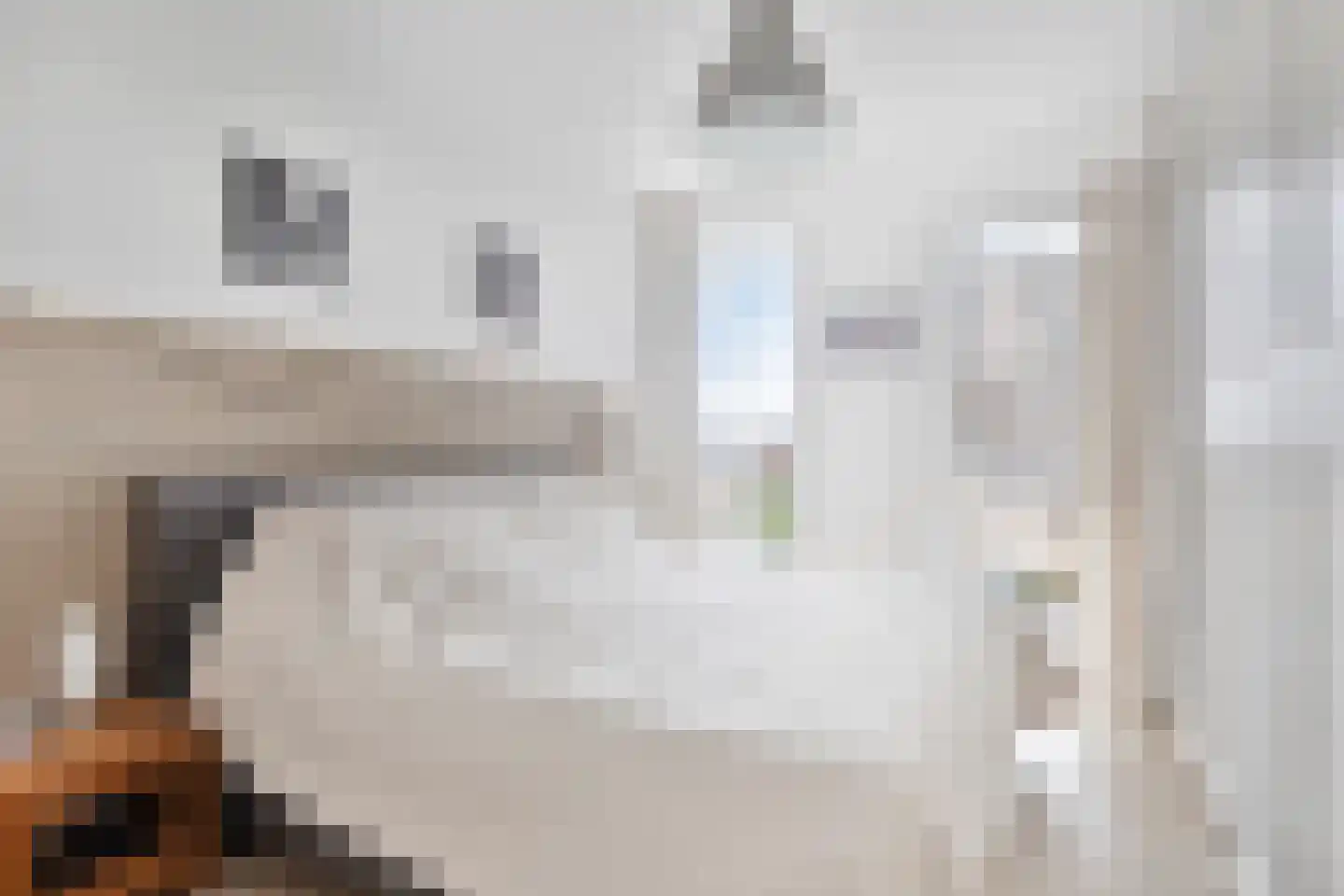 Amstelstroom 40 Zoetermeer thumbnail 22