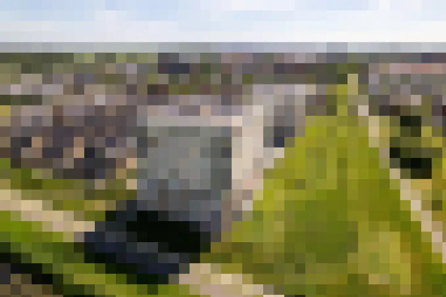 Amstelstroom 60 Zoetermeer thumbnail 5