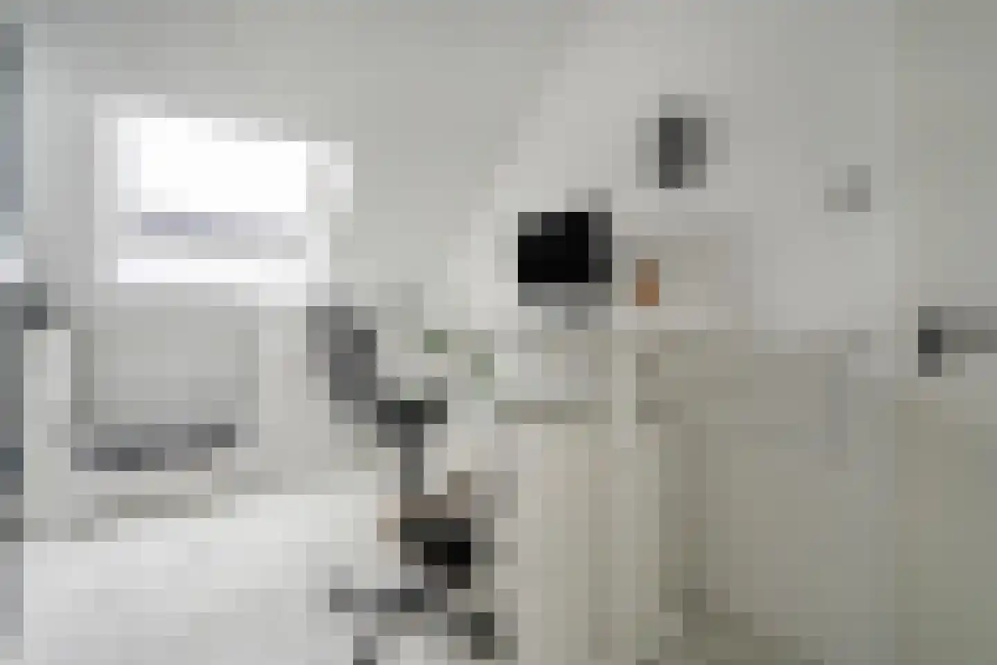 Amstelstroom 73 Zoetermeer thumbnail 31