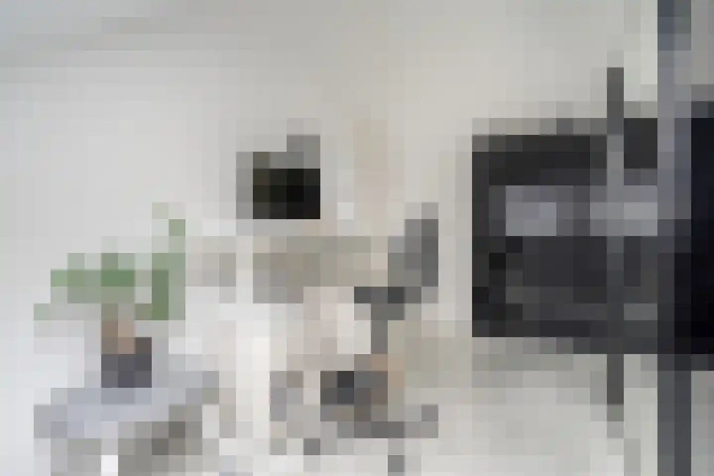 Amstelstroom 73 Zoetermeer thumbnail 32