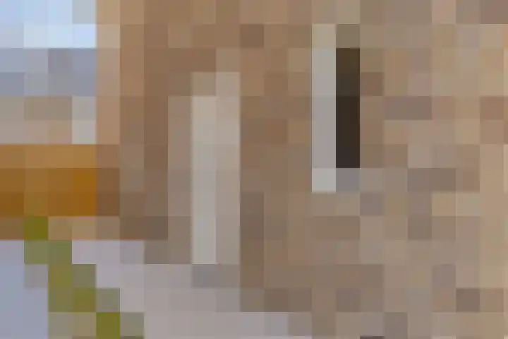 Amstelstroom 91 Zoetermeer thumbnail 6