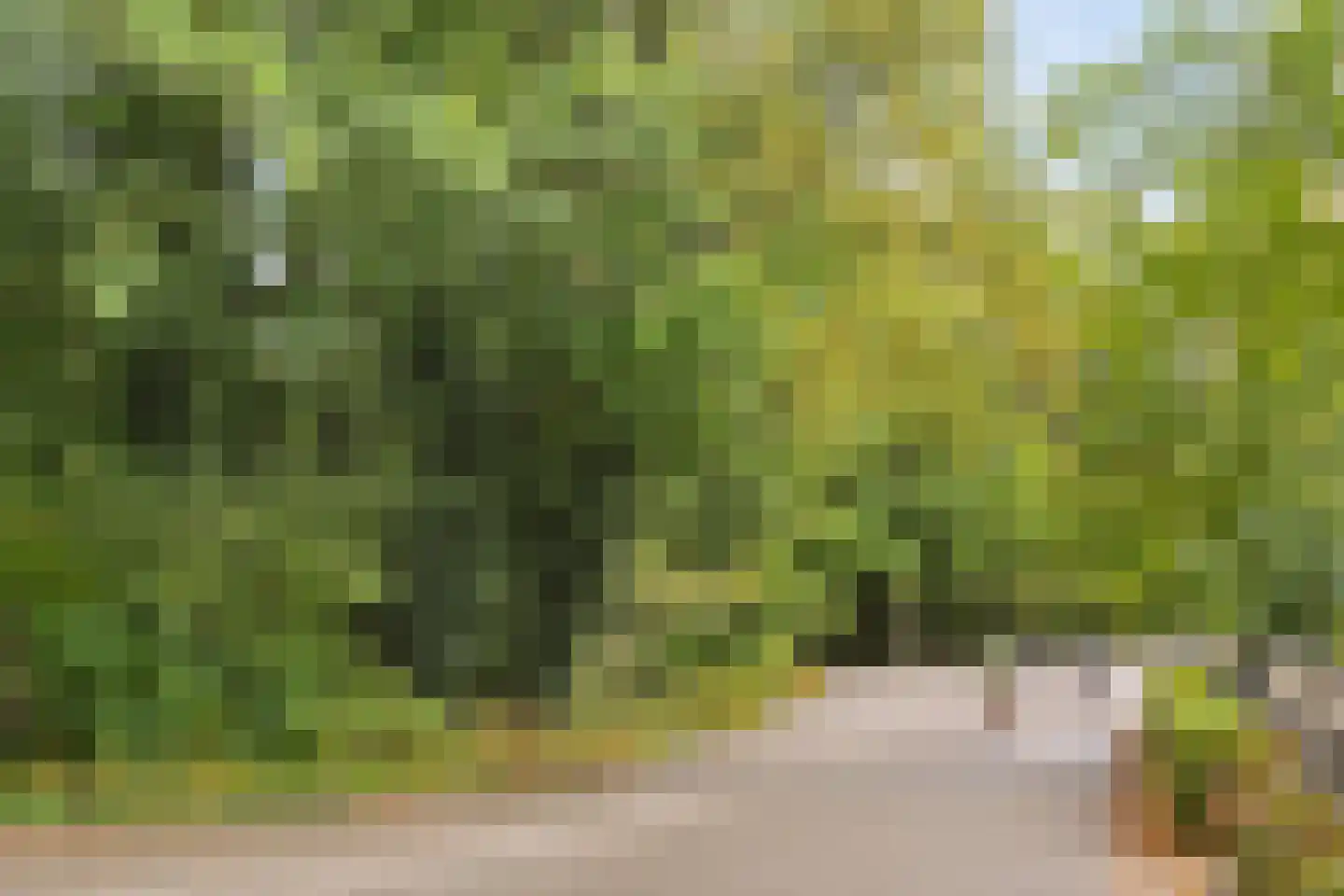 Amstelveenseweg 100 C Amsterdam thumbnail 26