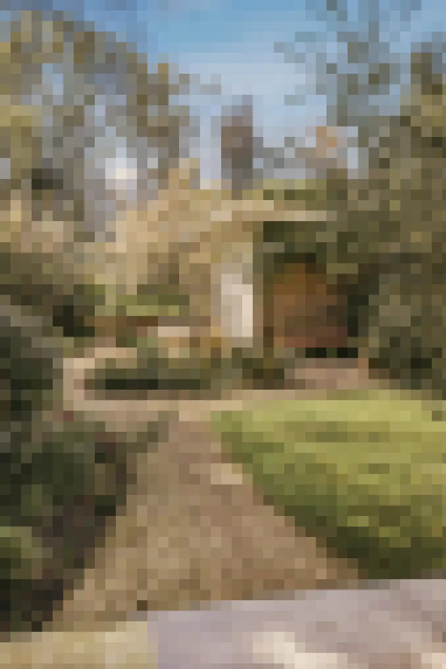 Amstelveenseweg 1030 Amsterdam thumbnail 64
