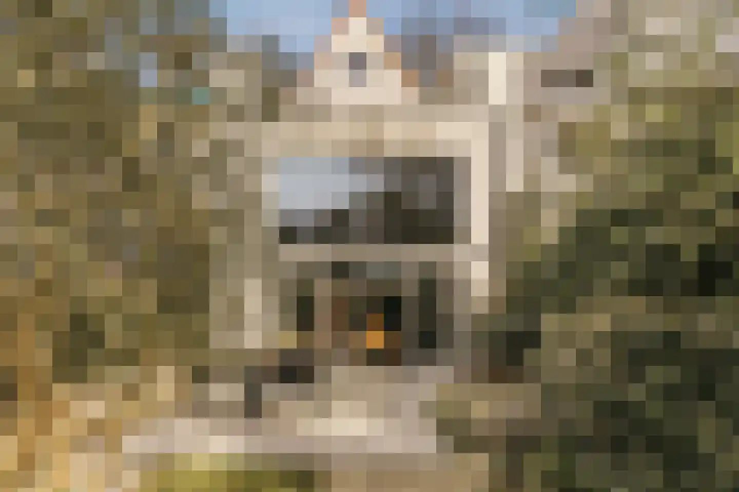 Amstelveenseweg 1030 Amsterdam thumbnail 66