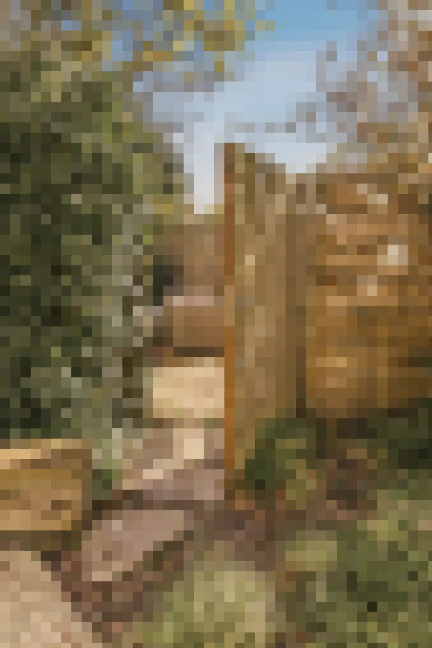 Amstelveenseweg 1030 Amsterdam thumbnail 76