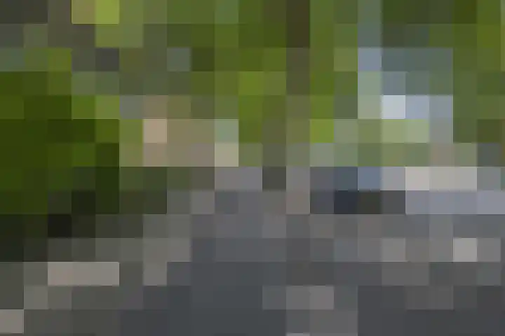 Amstelveenseweg 1092 Amsterdam thumbnail 37