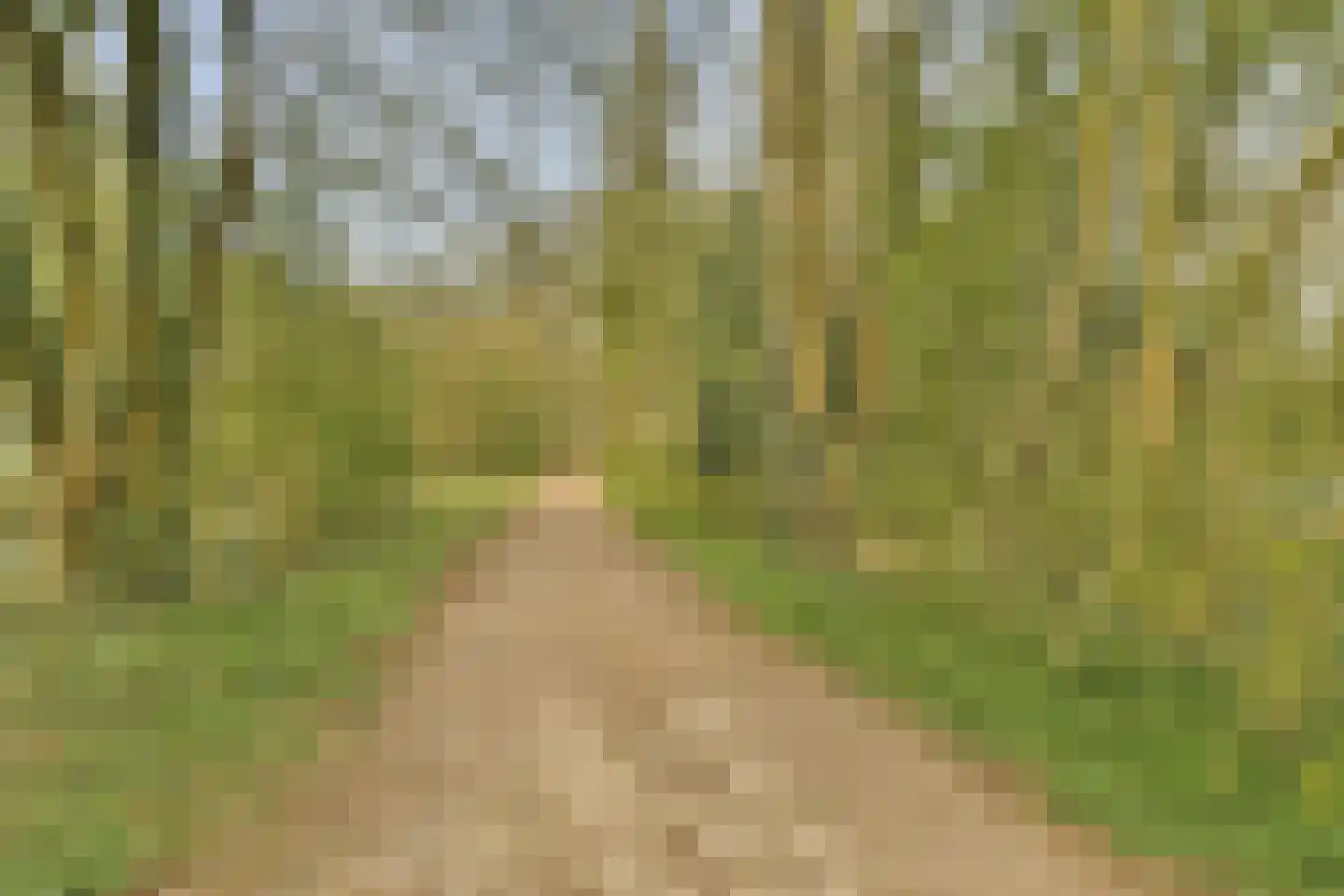 Amstelveenseweg 1150 B Amsterdam thumbnail 23