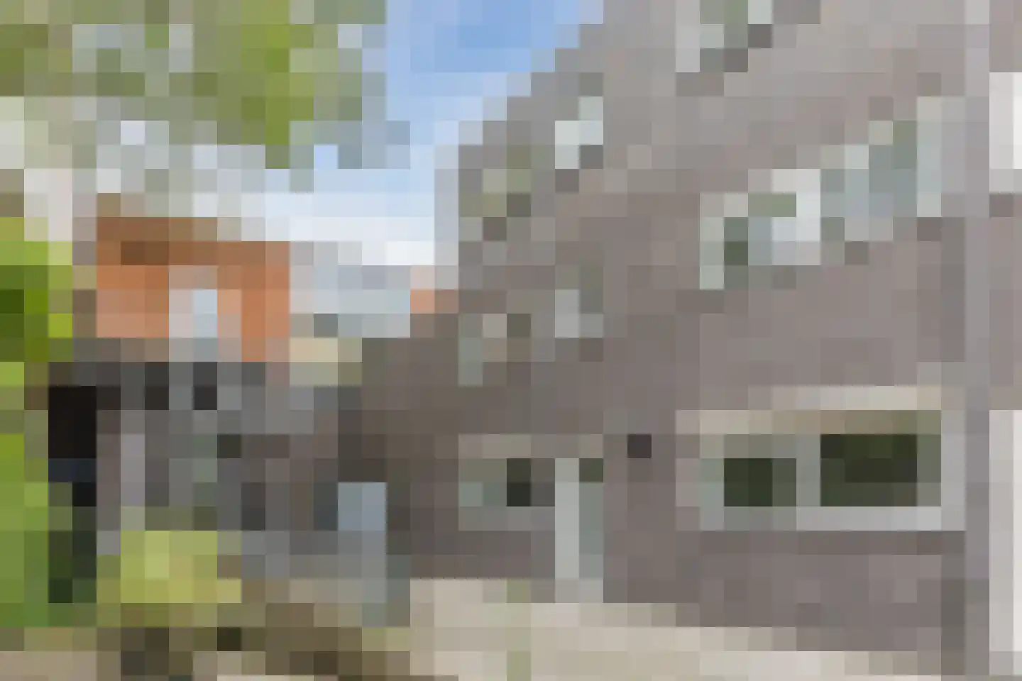 Amstelveenseweg 1166 Amsterdam thumbnail 11
