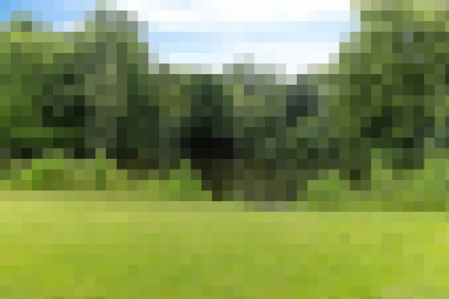 Amstelveenseweg 139 H Amsterdam thumbnail 46