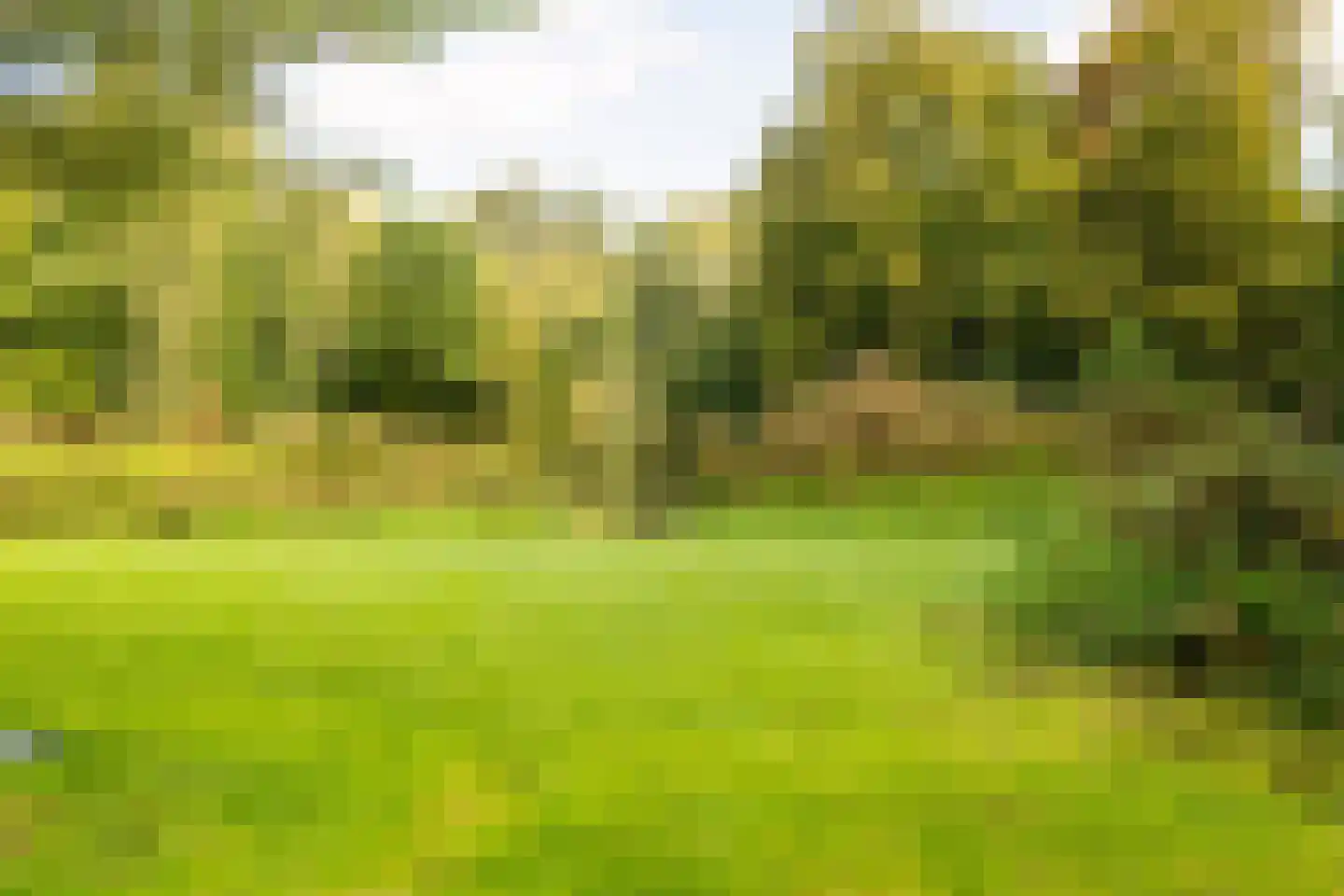 Amstelveenseweg 146 H Amsterdam thumbnail 57
