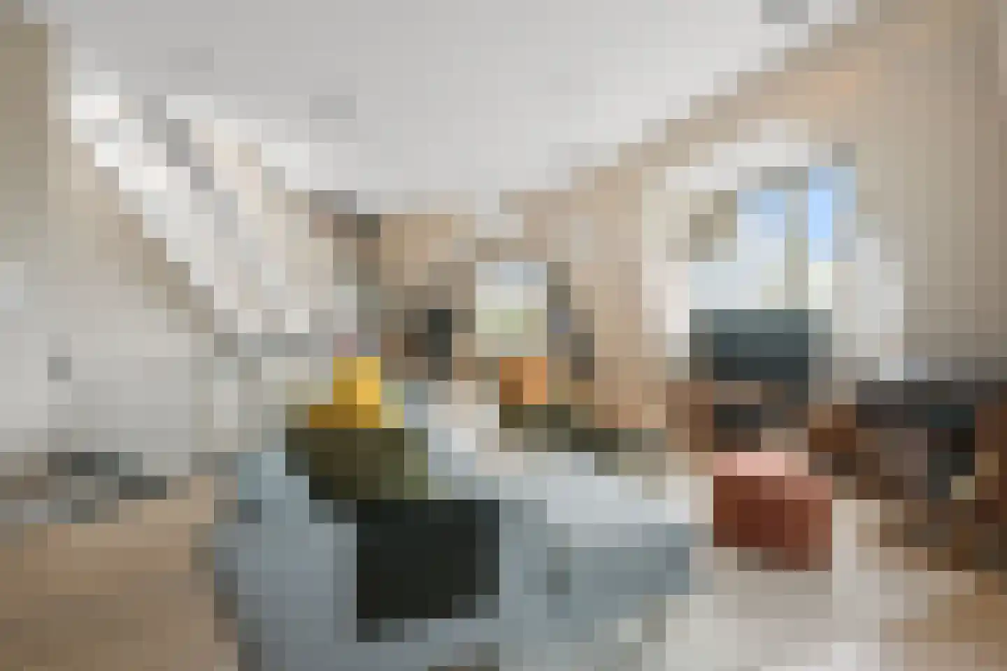 Amstelveenseweg 151 4 Amsterdam thumbnail 13