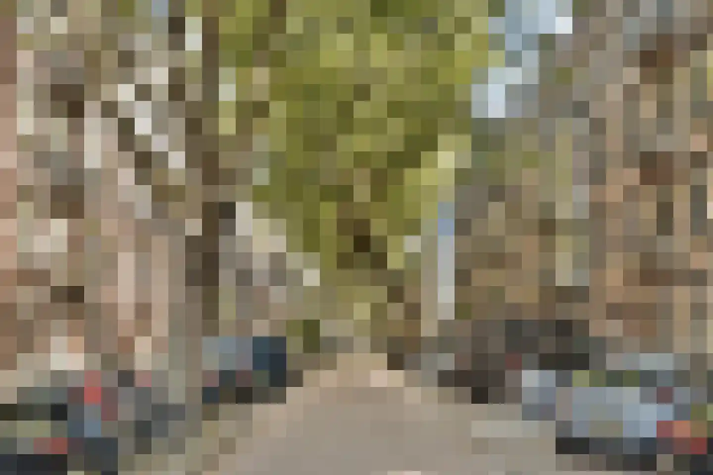 Amstelveenseweg 155 3 Amsterdam thumbnail 23