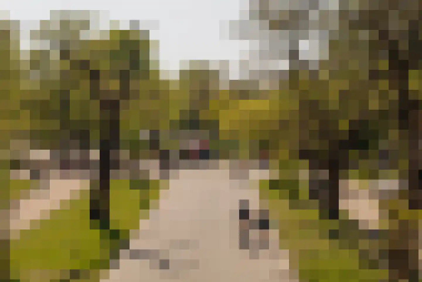 Amstelveenseweg 155 3 Amsterdam thumbnail 27