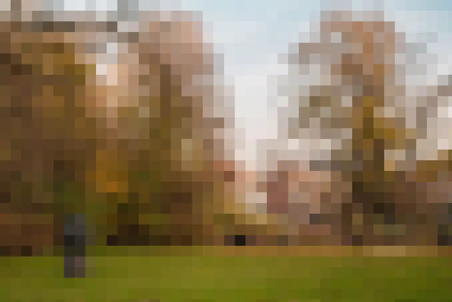 Amstelveenseweg 155 3 Amsterdam thumbnail 30