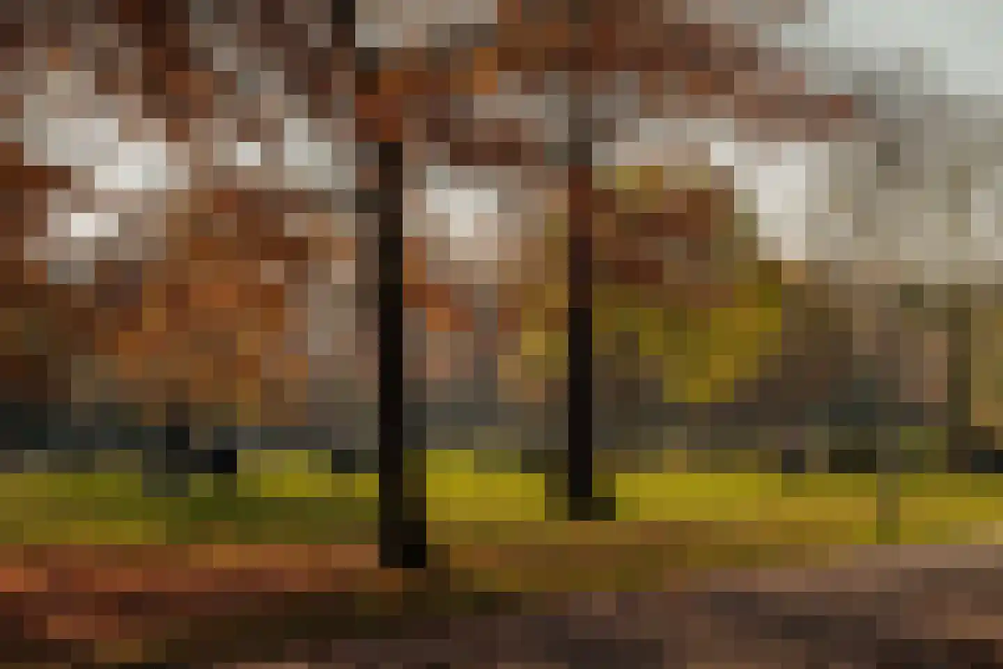 Amstelveenseweg 155 3 Amsterdam thumbnail 32