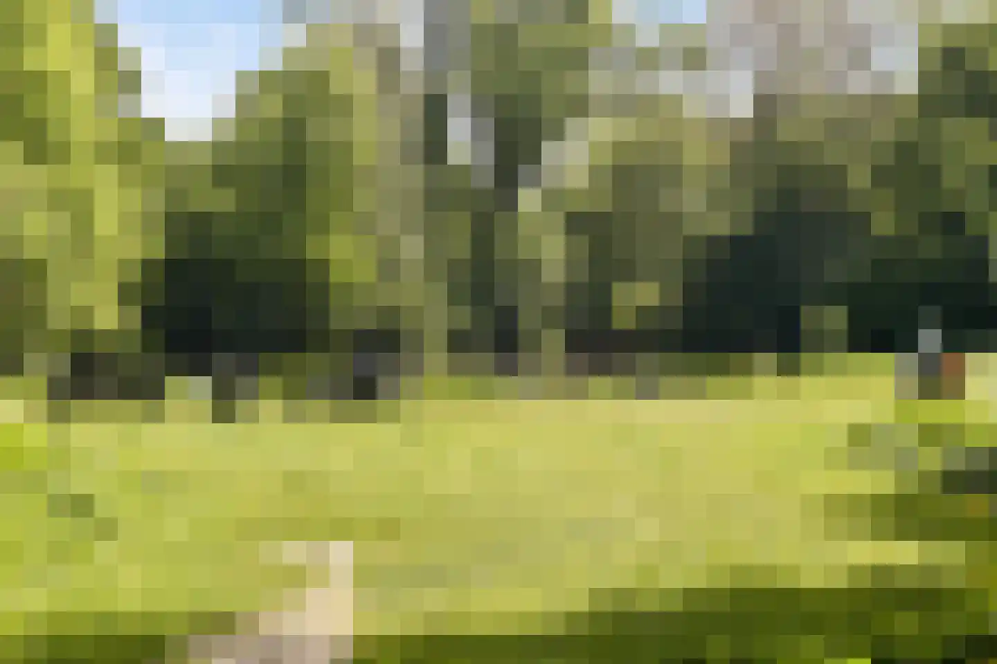Amstelveenseweg 155 3 Amsterdam thumbnail 34