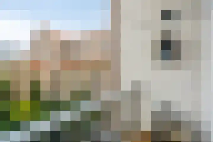 Amstelveenseweg 159 H Amsterdam thumbnail 22
