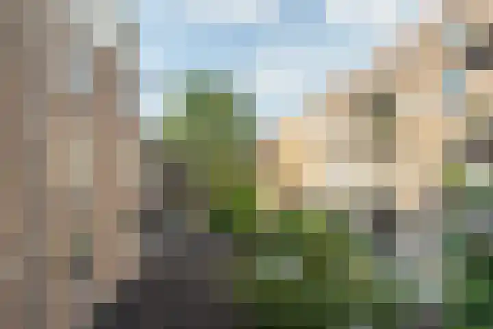 Amstelveenseweg 200 1 Amsterdam thumbnail 17