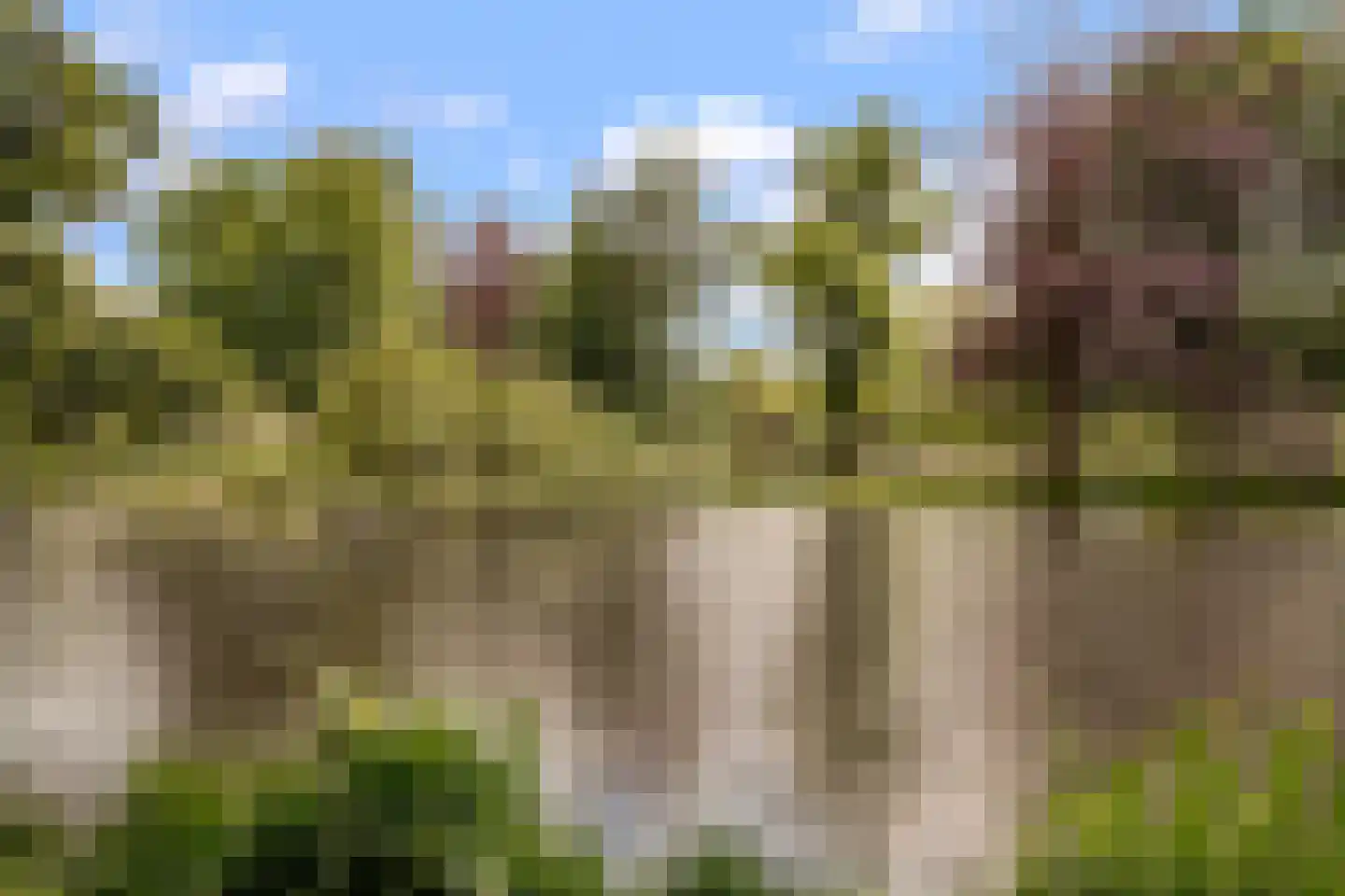 Amstelveenseweg 214 1 Amsterdam thumbnail 29