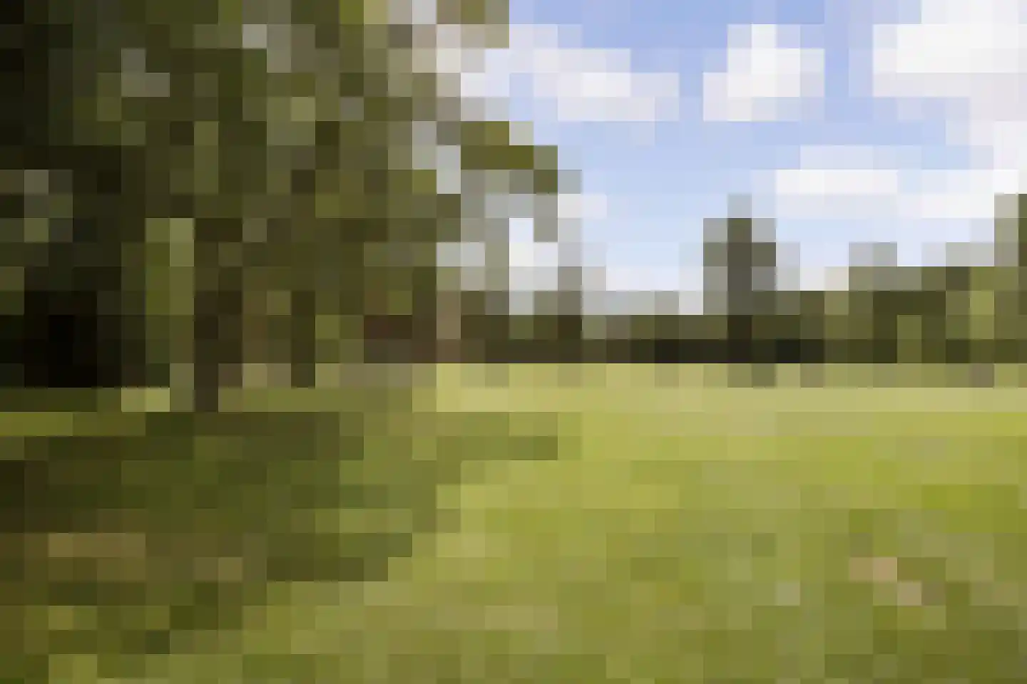 Amstelveenseweg 214 1 Amsterdam thumbnail 30