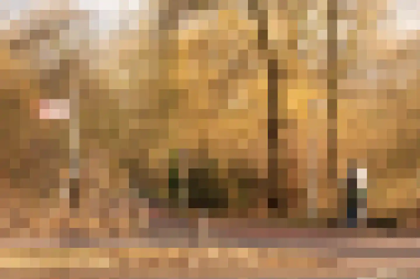 Amstelveenseweg 611 C Amsterdam thumbnail 34