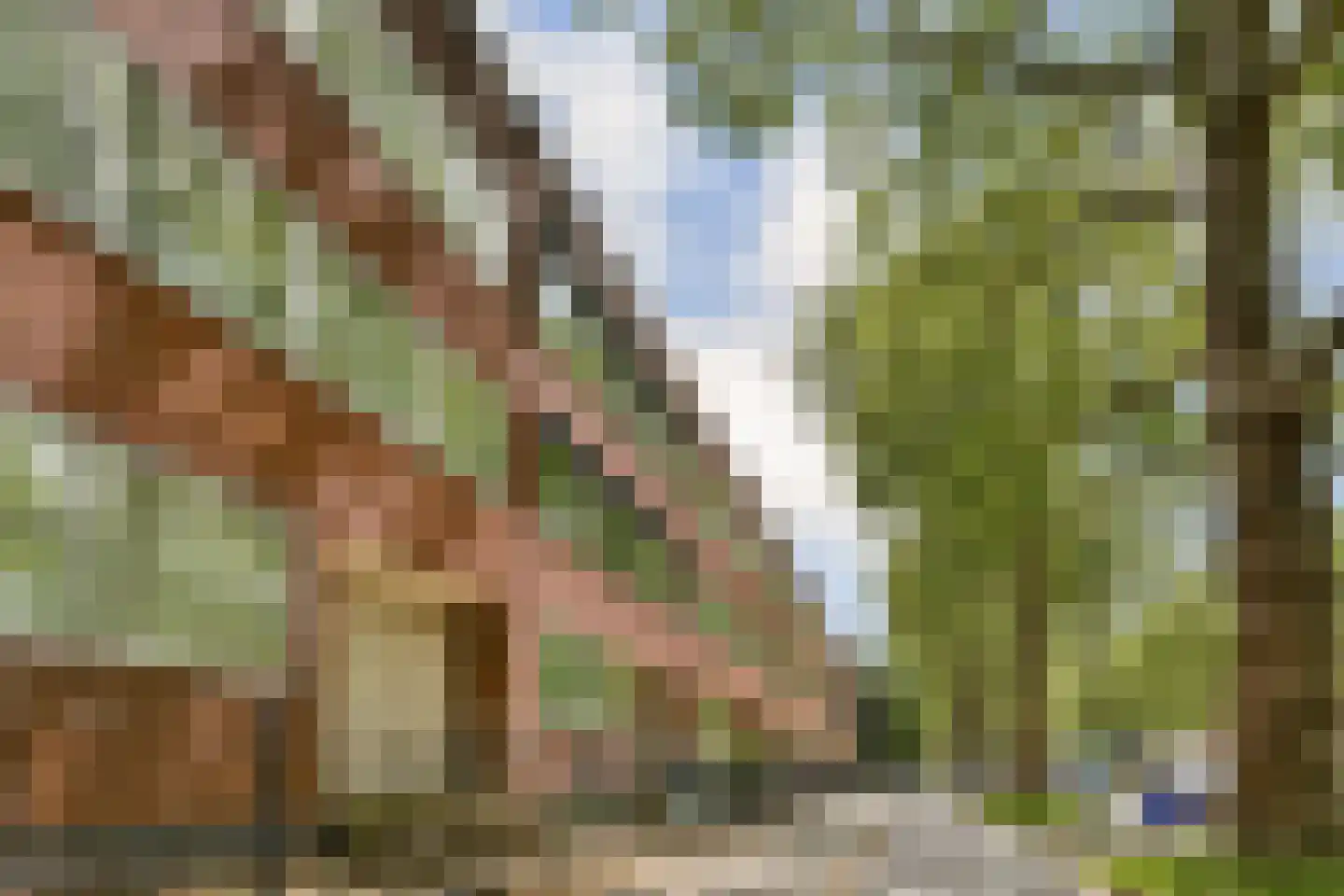 Amstelveenseweg 641 C Amsterdam thumbnail 20