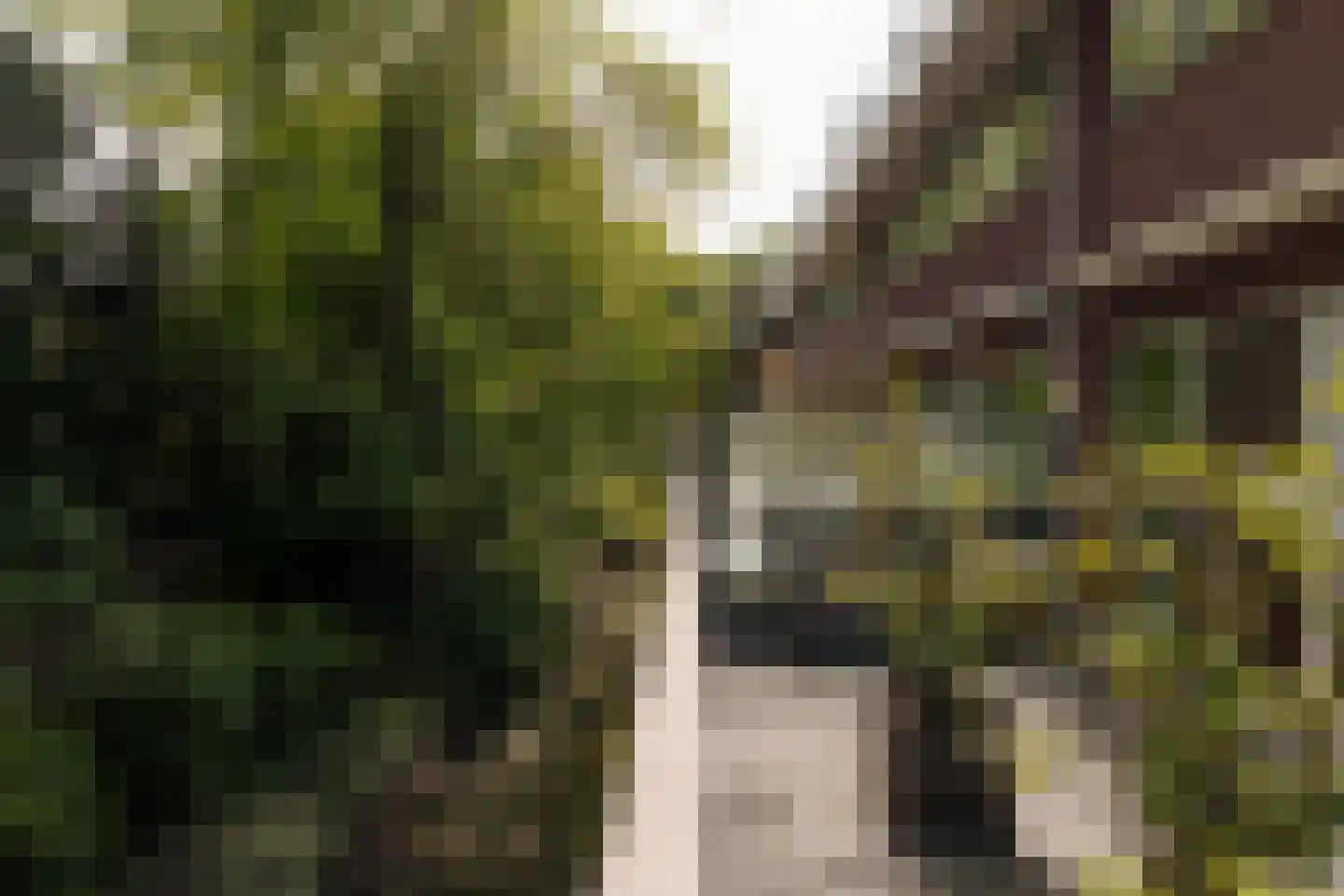 Amstelveenseweg 647 Amsterdam thumbnail 10