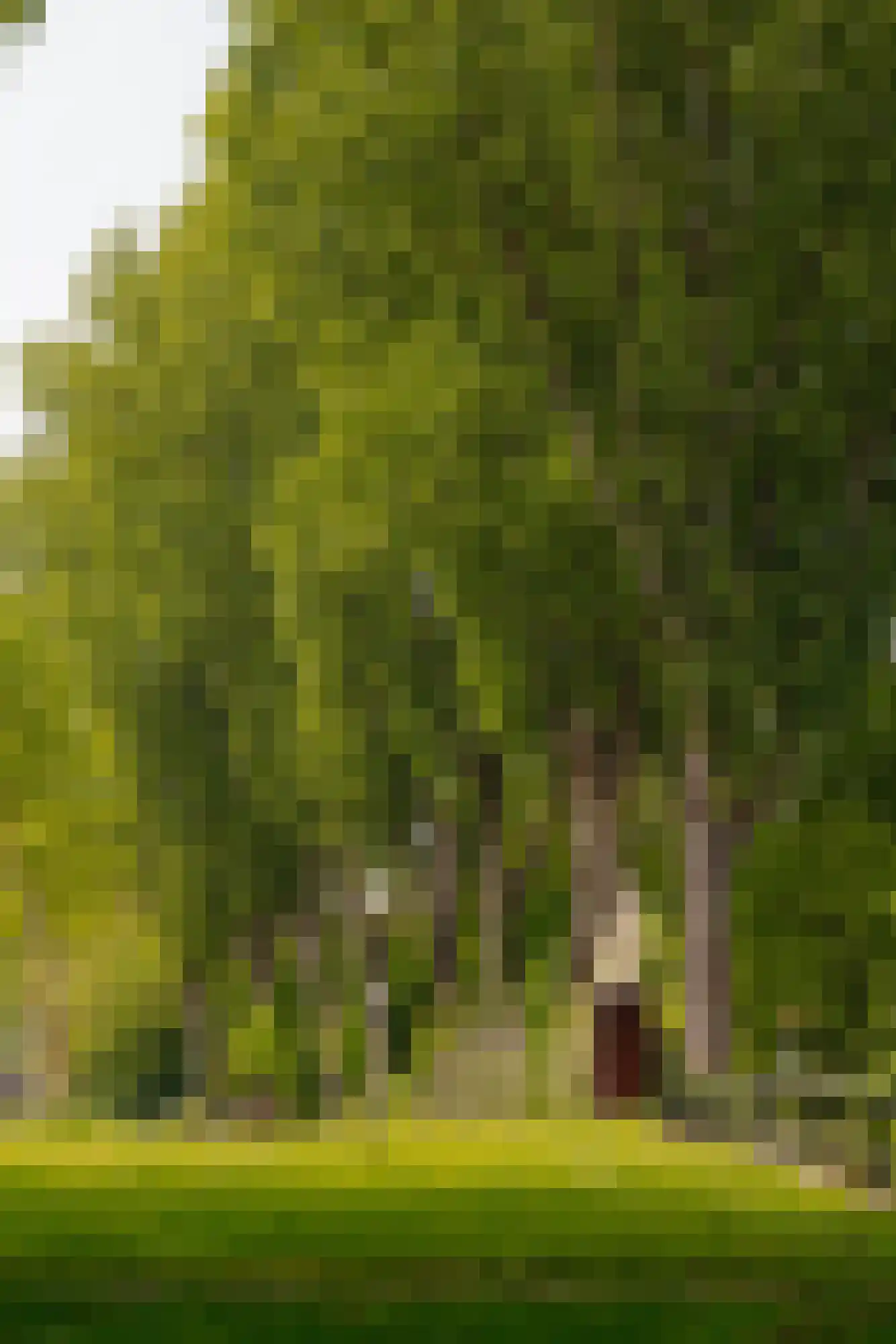 Amstelveenseweg 647 Amsterdam thumbnail 38