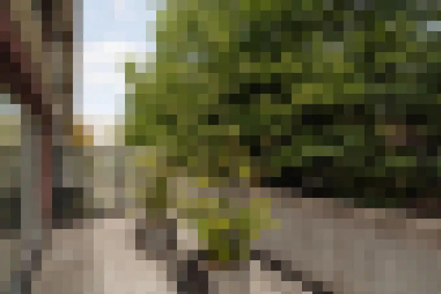 Amstelveenseweg 647 Amsterdam thumbnail 9