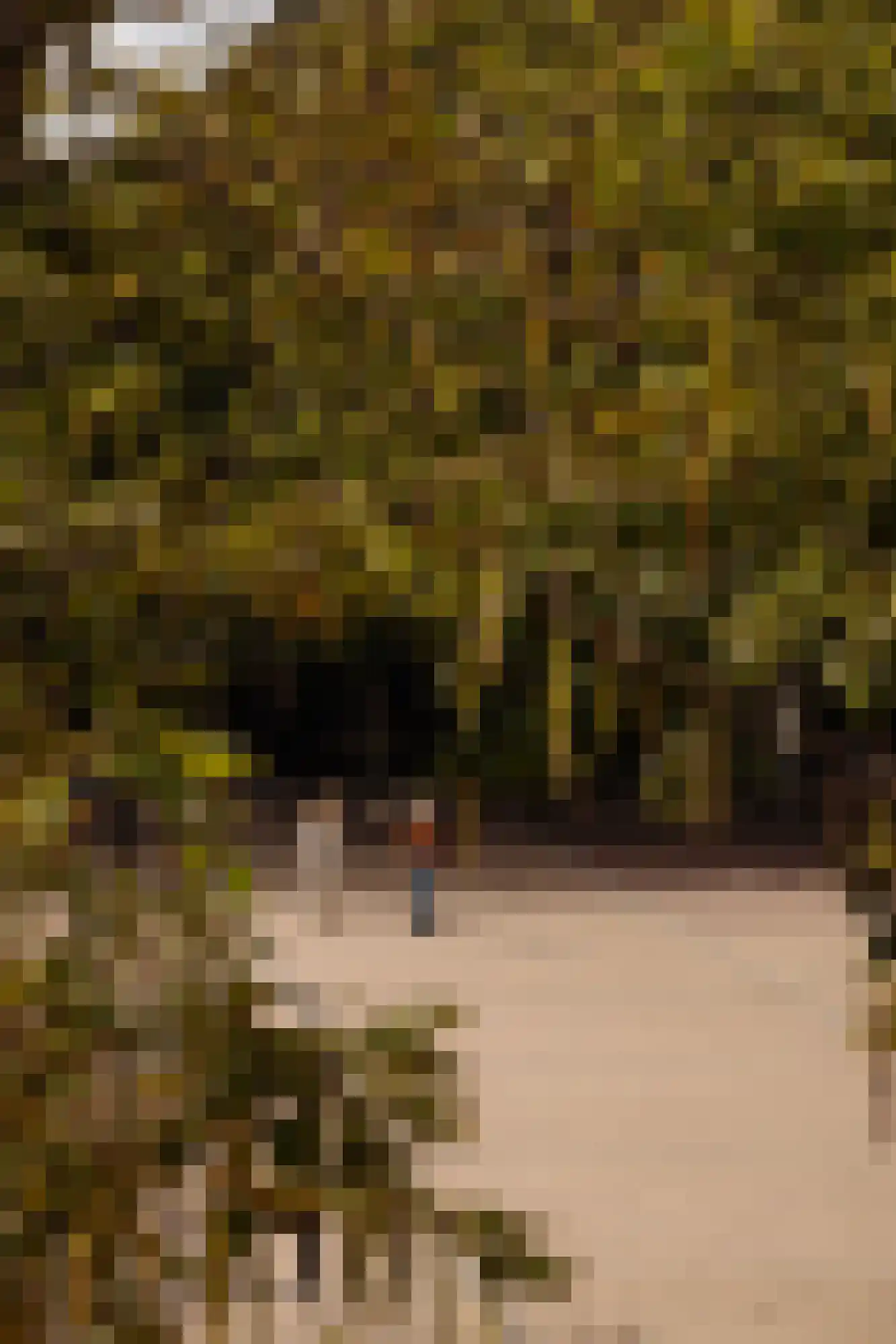 Amstelveld 11 1 Amsterdam thumbnail 27